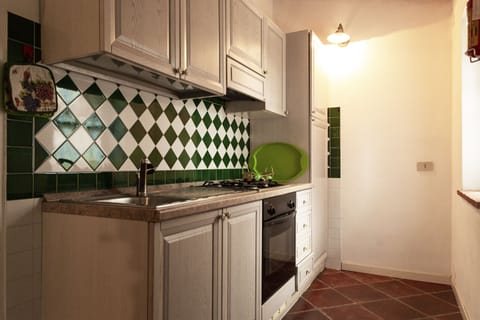 Comfort Apartment, 1 Bedroom, Kitchen, Garden Area | Private kitchen