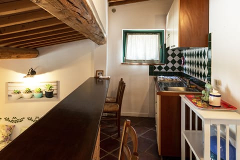 Comfort Apartment, 1 Bedroom, Kitchen, Garden Area | Private kitchen