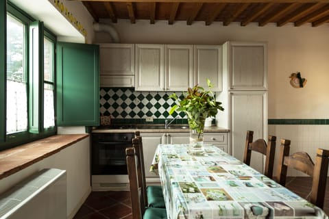 Comfort Apartment, 2 Bedrooms, Kitchen, Garden Area | Private kitchen