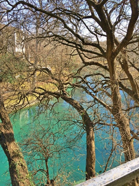 view the beautiful Comal from your patio