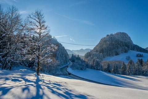 Snowshoeing
