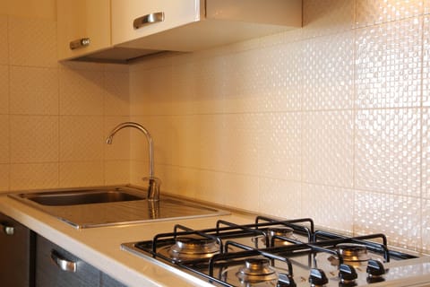 Family Apartment, 1 Bedroom, Terrace, Sea View | Private kitchen | Full-size fridge, stovetop, dishwasher, cookware/dishes/utensils