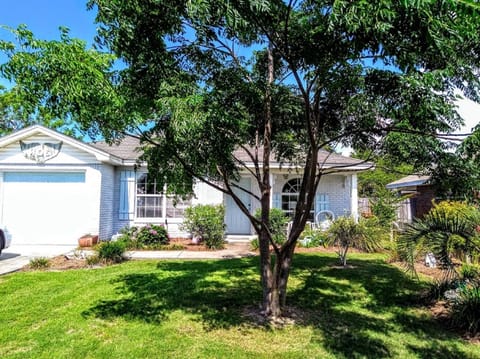 Front yard