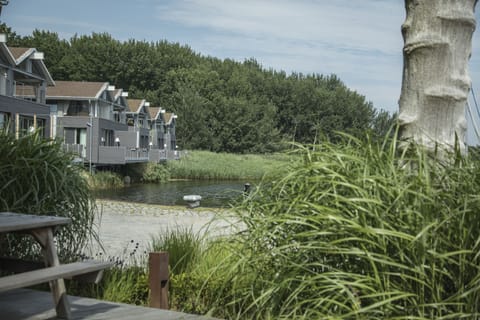 Lake view