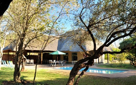 Outdoor pool, open 6:00 AM to 7:00 PM, pool umbrellas, sun loungers