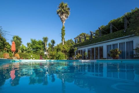Outdoor pool, open 9:00 AM to 11:00 PM, pool umbrellas, sun loungers