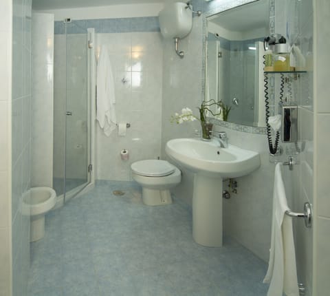 Shower, free toiletries, hair dryer, bidet