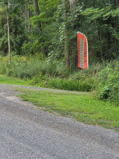 driveway entrance, look for flag. (No mailbox)