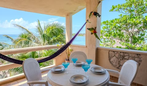 Hacienda de la Tortuga 7 - Terrace with Carribean views