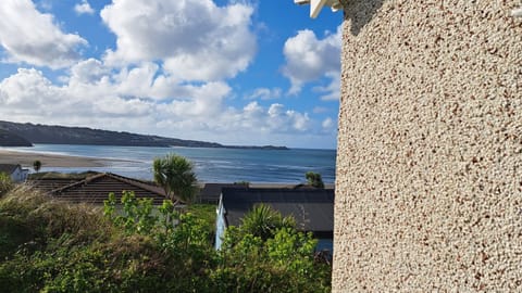 Beach/ocean view