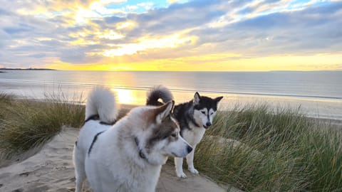 Beach nearby