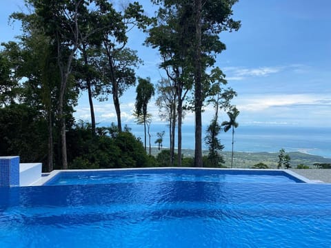 Large Infinity Edge Adult Lap Pool with super large overflow “Children’s Pool” .
