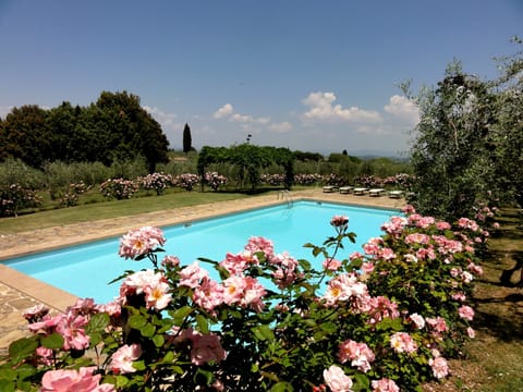 villa de Sernigi swimming pool