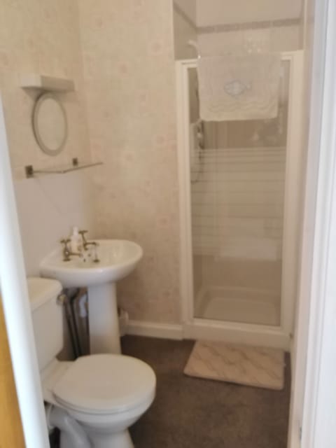 Comfort Triple Room (with Shower) | Bathroom | Shower, free toiletries, hair dryer, towels