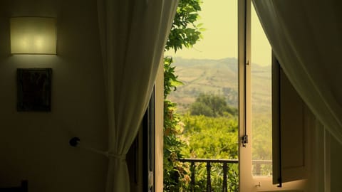 View from room