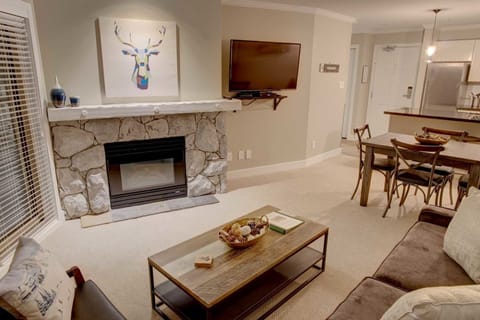 Seating area with gas fireplace and cable TV
