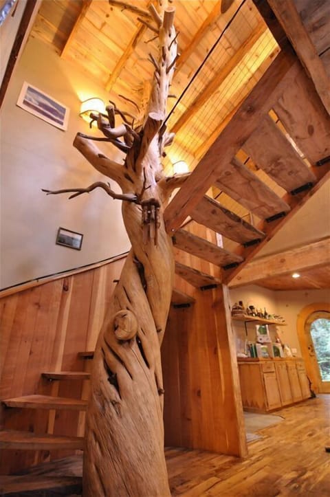 800 year old Juniper Tree Spiral Stair Case with myrtle wood treads