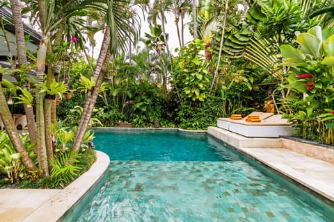 Outdoor pool, sun loungers