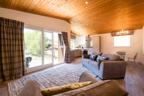 Chalet | Living room | 30-inch TV with satellite channels, fireplace, DVD player
