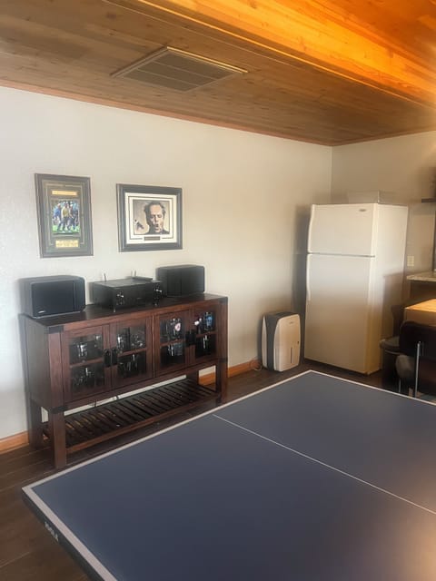 Ping pong, basement refrigerator, Bose sound system