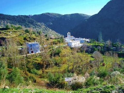 The village