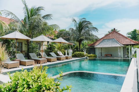 Outdoor pool, sun loungers
