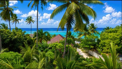 Zoi Beach Luxury Villa | Terrace/patio