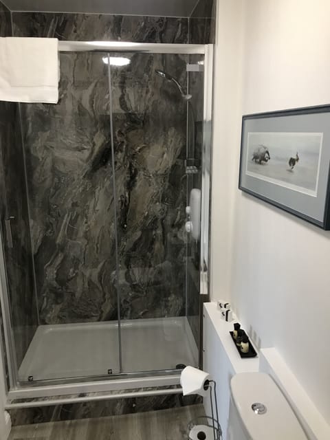 Shower, free toiletries, hair dryer, towels