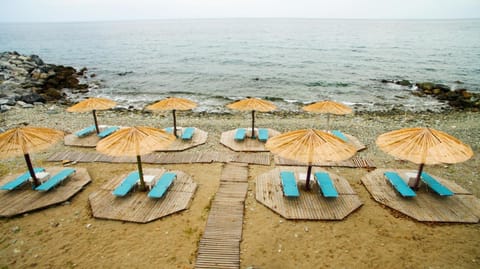 On the beach, sun loungers, beach umbrellas, beach bar