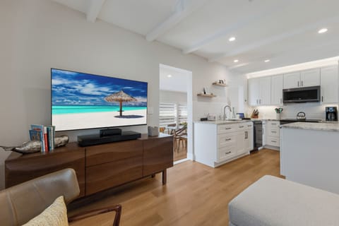 55 inch Sony TV with 100 plus channels and access to Prime Video and Netflix.