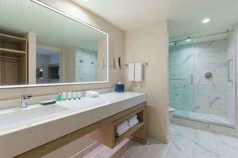 Free toiletries, hair dryer, bathrobes, towels