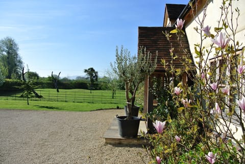South to the Cotswold escarpment - you are welcome to explore the orchard