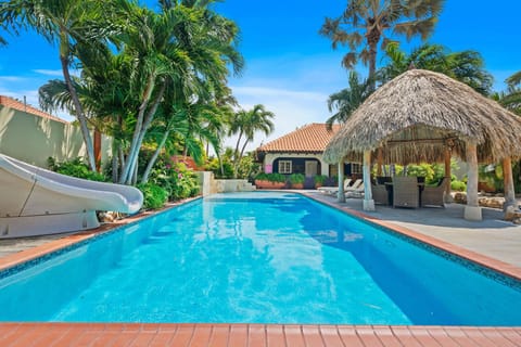 Beautiful Tropical garden surrounding a huge Pool with Heated Jacuzzi