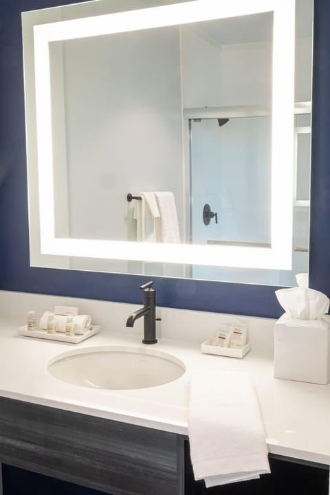 Franklin Studio Suite, 1 King Bed with 1 Sofa Bed | Bathroom | Shower, free toiletries, towels