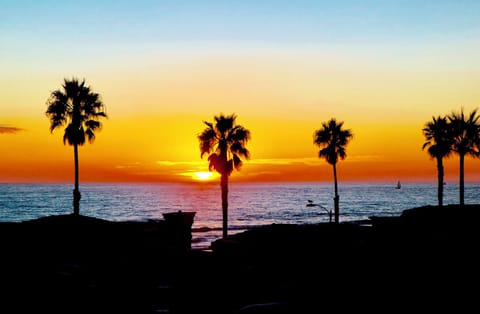 Experience Romantic Sunsets!