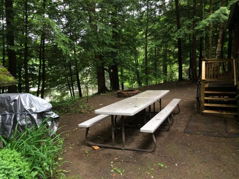 Backyard fire pit, double picnic tables & gas grill over looking the pond.