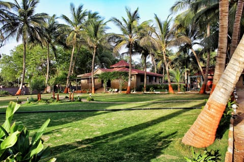 Outdoor wedding area