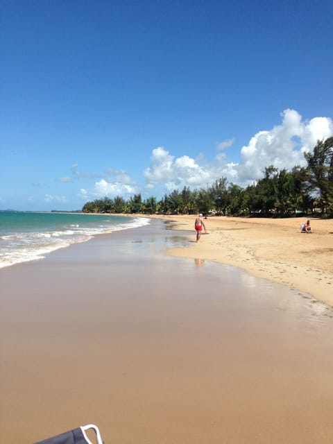 Beautiful Beach Front Property 