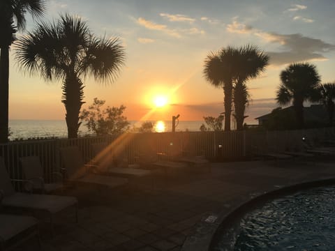 You could be sitting here seeing this in person...