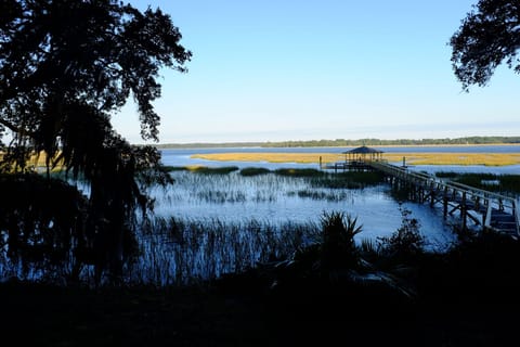 This is the view from the back yard!