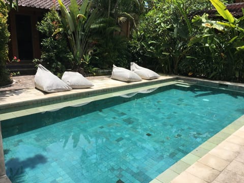 Outdoor pool, sun loungers