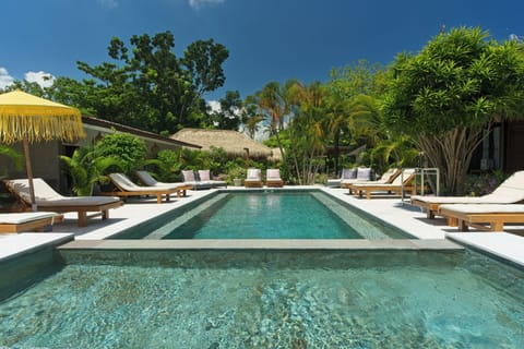 Outdoor pool, sun loungers