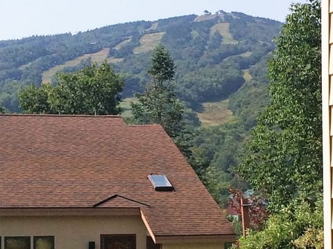 Your view to the summit