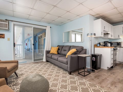Entrance and Living Area