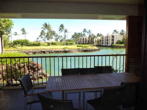 View from Main Lanai and outside dining area