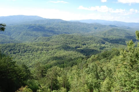 Breathtaking views of the Great Smoky Mountains and Cherokee National Forest.  