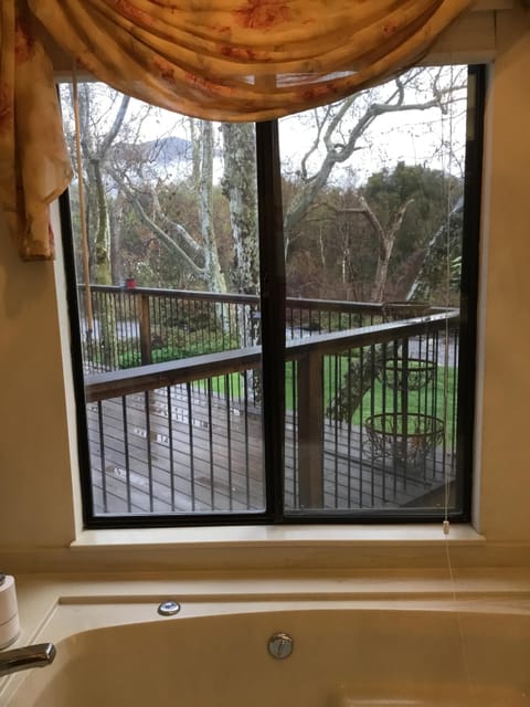 View of the river and trees from master tub 