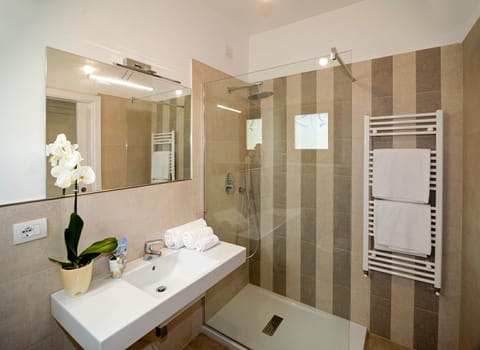 Shower, hair dryer, bidet, towels