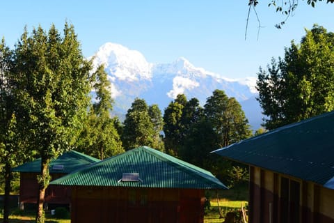 Deluxe Double or Twin Room | Mountain view