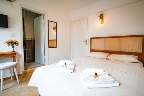 Standard Double Room, Garden View | Minibar, free WiFi, bed sheets